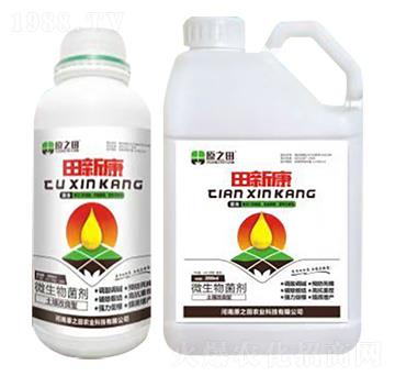 ���¿�-ԭ֮��