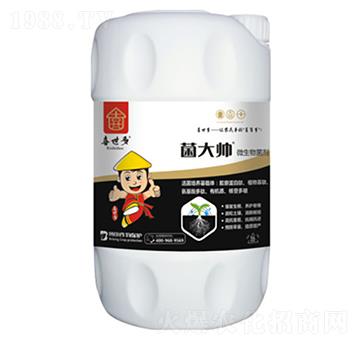 �ͺ�΢�������-����-ϲ����