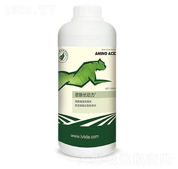 ��(x��)������(qi��ng)�̼���-�L��(d��ng)��-���}