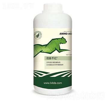 ��Ȼ����(sh��)��ɫ���섩-���}ǧ�t-���}