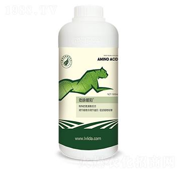 ���{(di��o)��(ji��)���״��M(j��n)��-���}ů�-���}