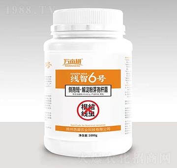 ���Y(ji��)���x����-����6̖-��ķ������