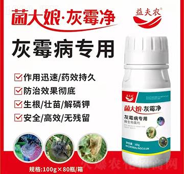 ��ù������-�������ù��-����r(n��ng)