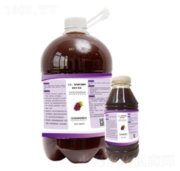 ���ь����͏ͺ�΢�������-�ּ{����