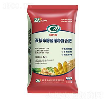 �ۺ�����ȩ��ጏͺϷ�-���r����