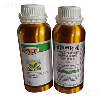 ���Ѽ׭h(hu��n)��-���`-����������