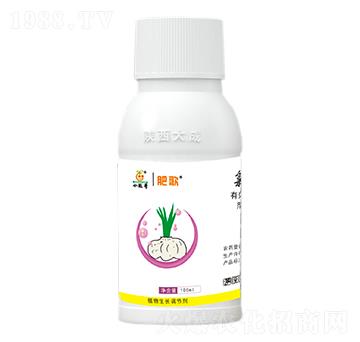 60%�Ȼ�đ�A-�ʸ�-�������