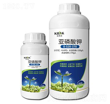 �������0-520-370-�˰ſ�