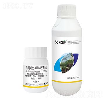 20%���ѡ������f-���࿵-ʩ���r�I(y��)