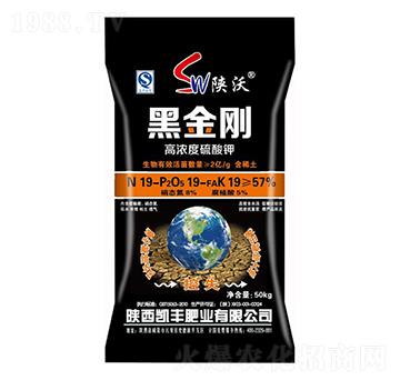 �ߝ�������-�ڽ���-�P�S�ʘI(y��)