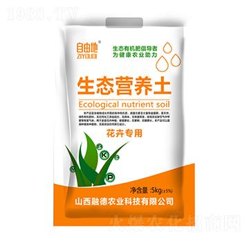 ���܌������B(t��i)�I�B(y��ng)��-���ɵ�-�ڵ��r�I(y��)