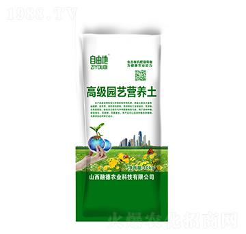 �߼��@ˇ�I�B(y��ng)��-���ɵ�-�ڵ��r�I(y��)