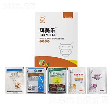 ���������o�����������ݲ�����ή���ײ�-�x����-���A����