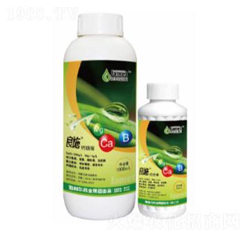 �}�V��-��ʩ-������