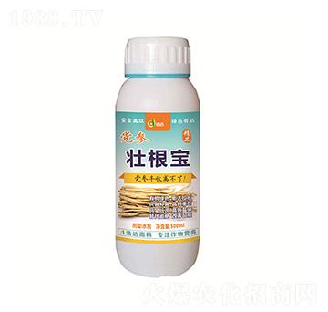 �h���Ѹ���-���_(d��)����