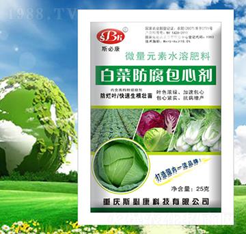 �ײ˷������Ą�-˹�ؿ�