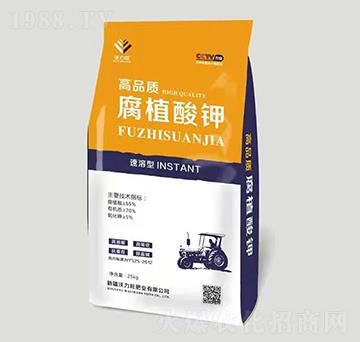 ��ֲ���-������