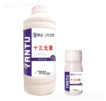 ʮ��Ԫ��-��������