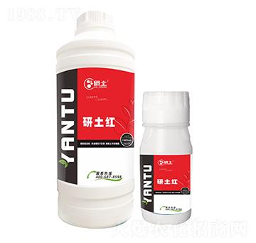 �����D(zhu��n)ɫ�������t-��������