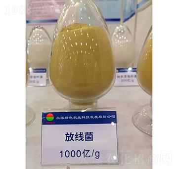 �ž���-�d�A�Gɫ