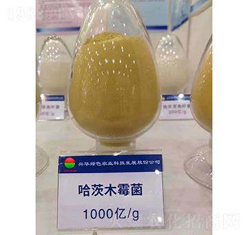 ����ľù��-�d�A�Gɫ