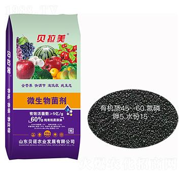 ؐ����΢�������-ؐ�Z