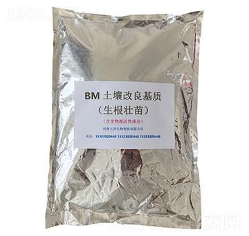 BM�����������|(zh��)���������磩-�Ű�����