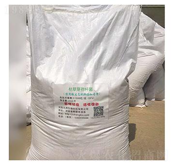 �ݲ�ѿ�ߗU��-�Ű�����