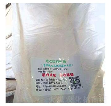 ����ѿ�ߗU��-�Ű�����