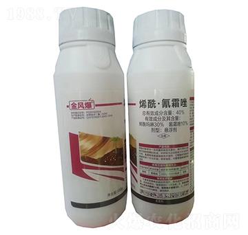 40%ϩ������˪��Ҹ���500g-���L(f��ng)��-�G������