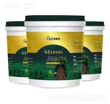 �����S�~����-��˹��-����ʘI(y��)