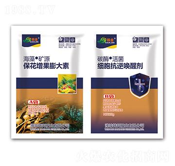 �������������-��(x��)�����憾�ф�-�n��-�n��ʘI(y��)