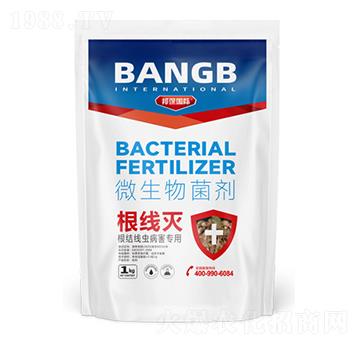 ���Y���x��������΢�������-������-����H