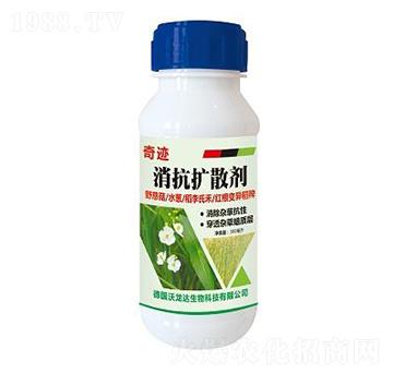 �����U(ku��)ɢ��-���E-����������