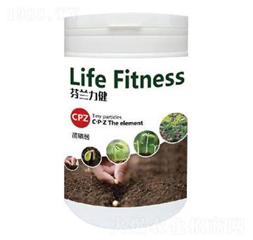 ���׾�-����������