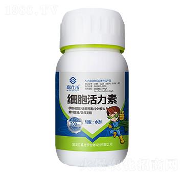 ��(x��)�������أ�ƿ��-���˺�