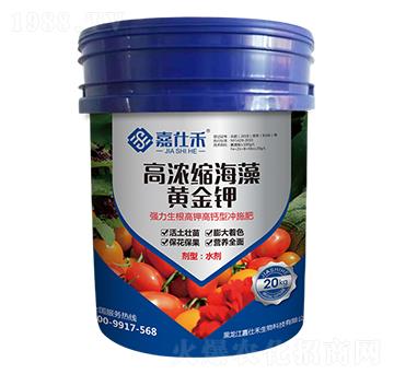 �ߝ�s�����S���-���˺�