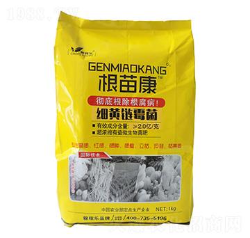 ��(x��)�S�ù��-���翵-�ڼژ�(l��)