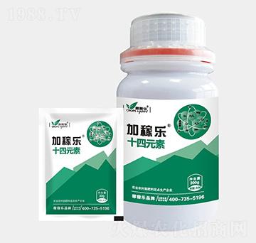 ʮ��Ԫ��-�Ӽژ�(l��)-�ڼژ�(l��)