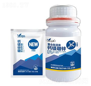 ���������w�}�V���\-�ڼژ�