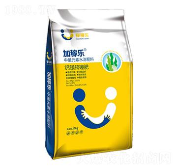 �}�V���\��-�Ӽژ�-�ڼژ�