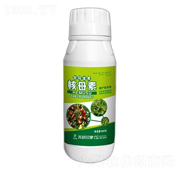 �ѻ�������ĸ��-�K��ӡ��