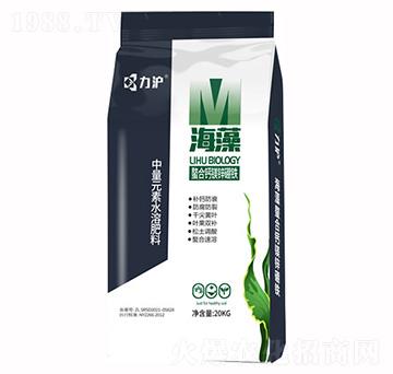 ���������}�V�\���F-��������