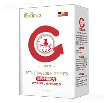 �����{����~���-���Z-�ƈD�ع�