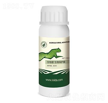 ���ﱣ�oĤ-���}�����-�G���_