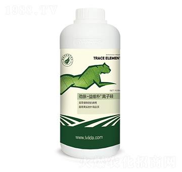 �x�ӹ�-���}��S��-�G���_