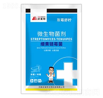 ���S�ù��-��ù�晎-������