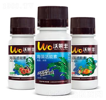 ���������-���R�S-�W�~˼�r(n��ng)�I(y��)