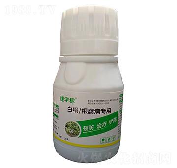 �׽�/����������-�ÌW(xu��)��