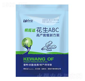 ����ABC���a�ײ�-�����_-�֠����r�I(y��)